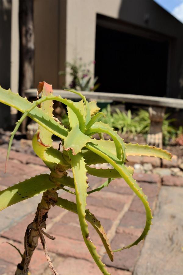 Pta East Guest House Pretoria Luaran gambar